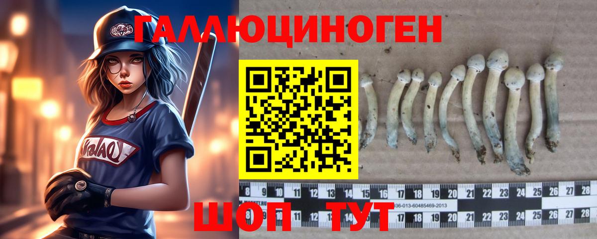 Галлюциногенные грибы GOLDEN TEACHER  Псилоцибиновые грибы Psilocybine cubensis  как найти закладки  Вход с VPN  Саянск 